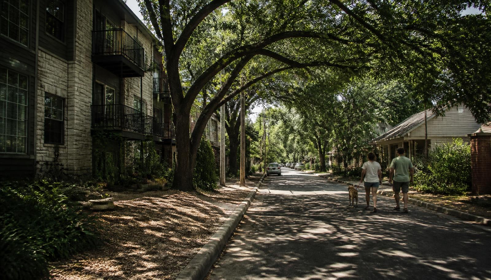Tree-lined street in Zilker, South Austin
